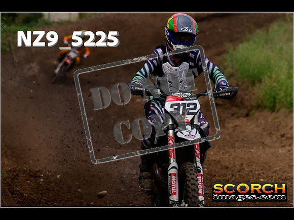 Experts-283