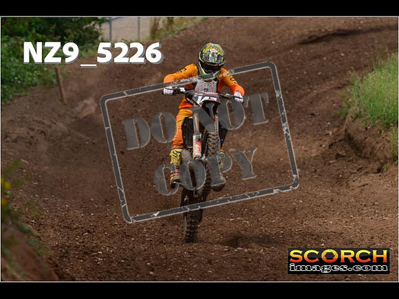 Experts-284