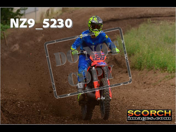 Experts-288
