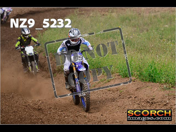 Experts-290