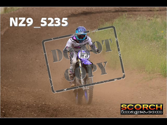 Experts-293