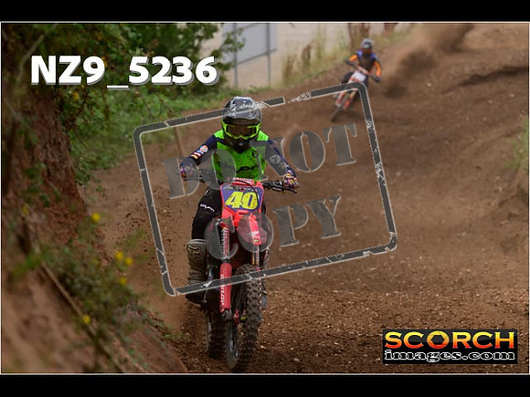 Experts-294