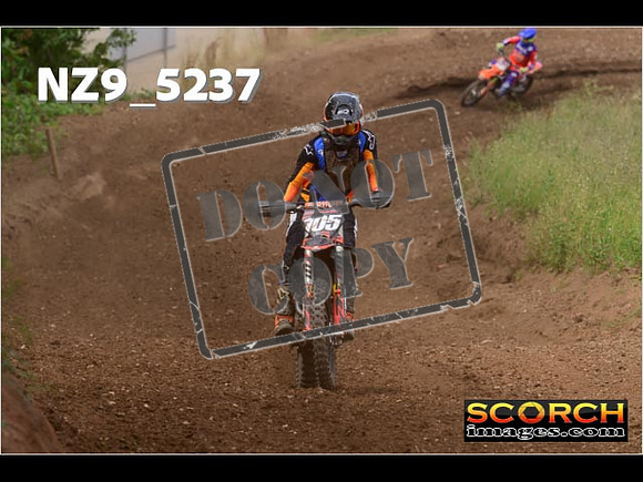 Experts-295