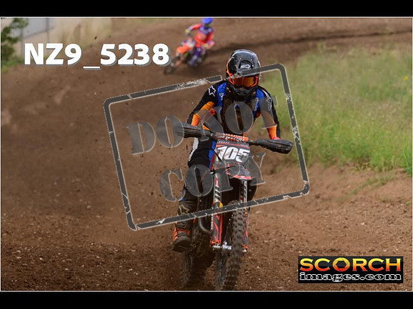 Experts-296