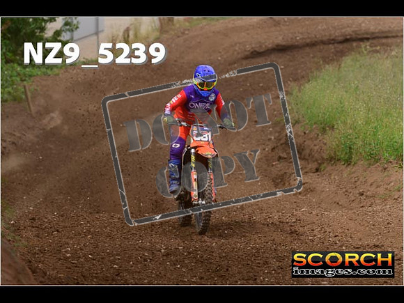 Experts-297