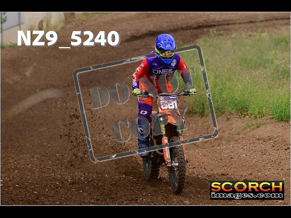 Experts-298