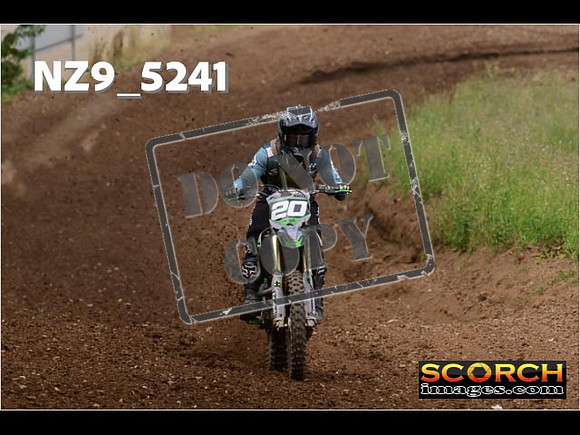 Experts-299