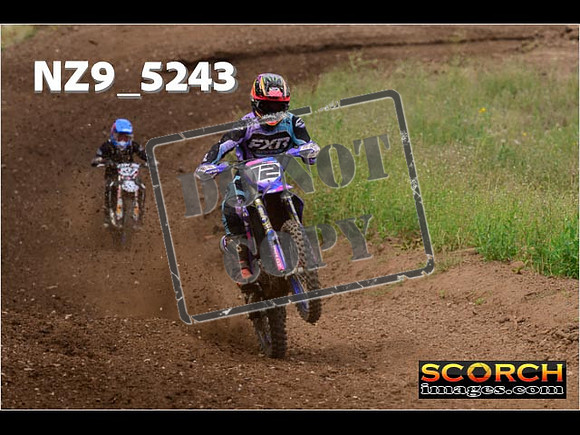 Experts-301