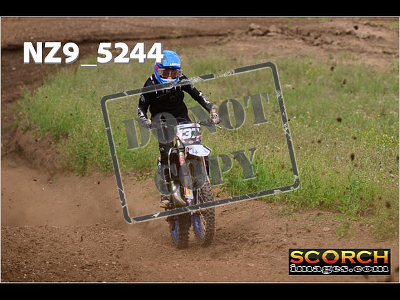 Experts-302