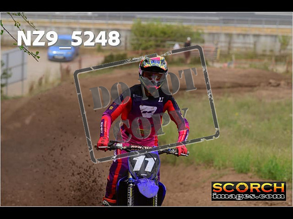 Experts-306