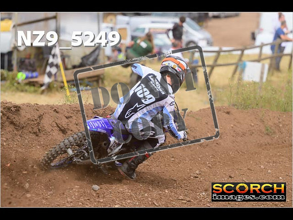 Experts-307