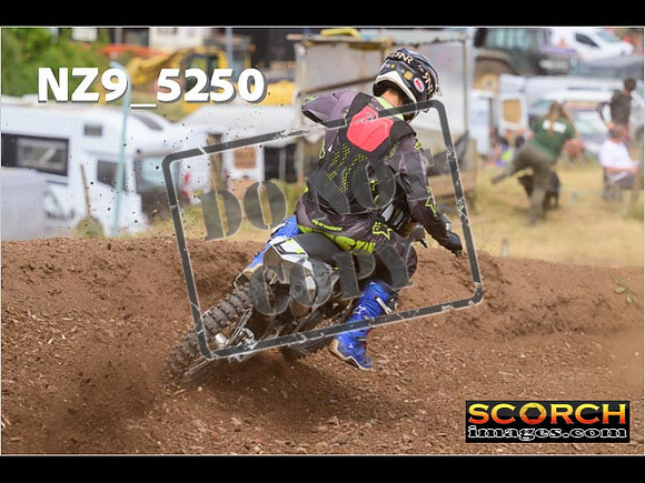 Experts-308