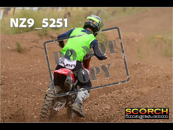 Experts-309