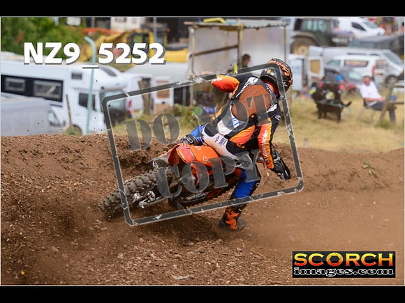 Experts-310
