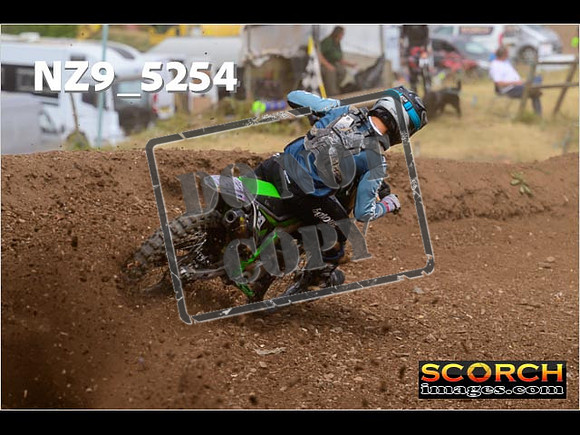 Experts-312