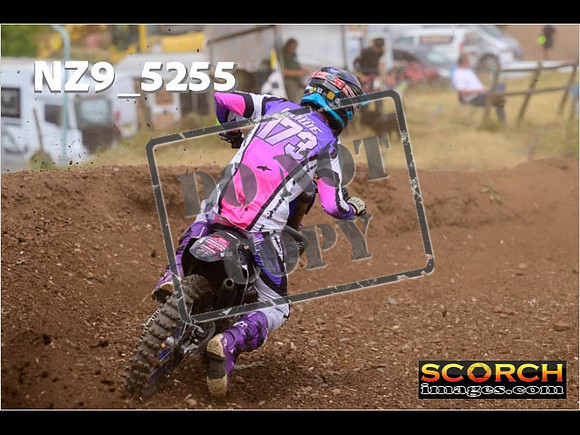 Experts-313