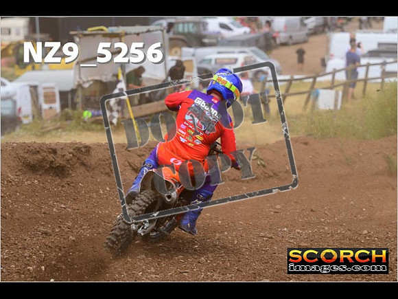 Experts-314