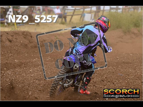 Experts-315