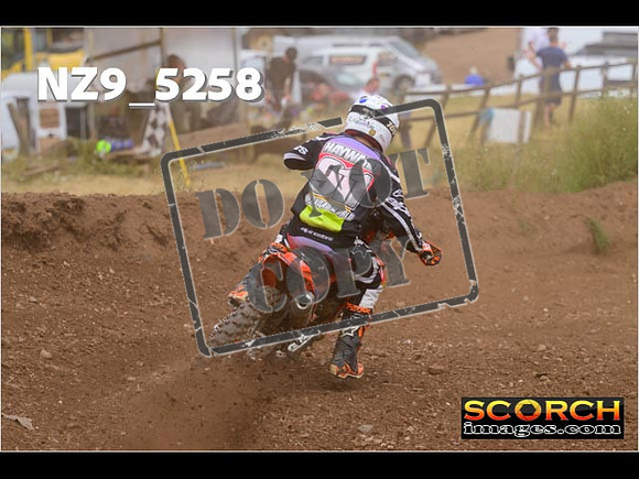 Experts-316