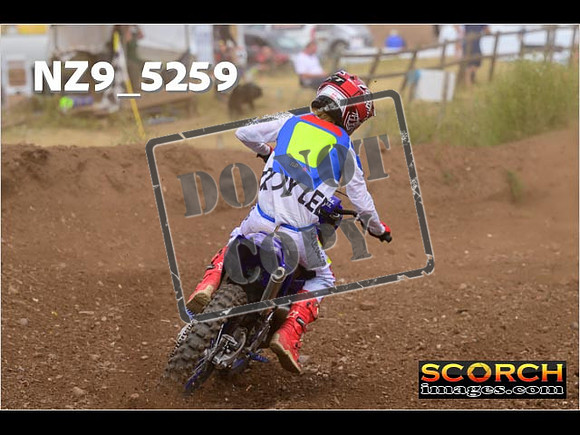 Experts-317