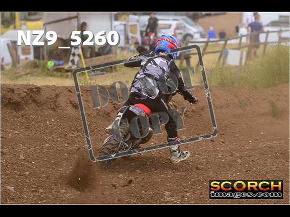 Experts-318