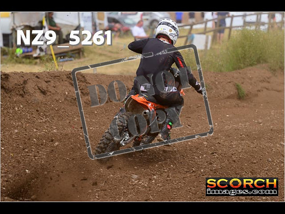 Experts-319