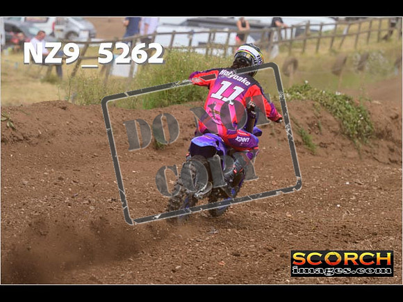 Experts-320