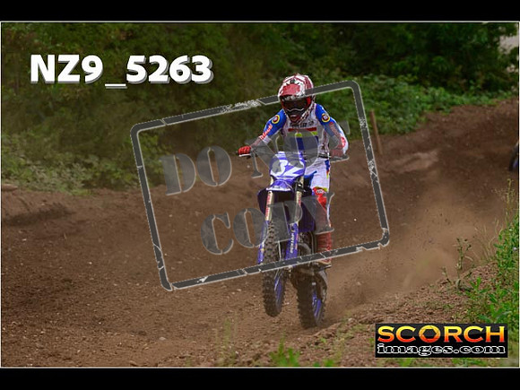 Experts-321