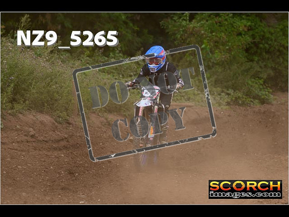 Experts-323