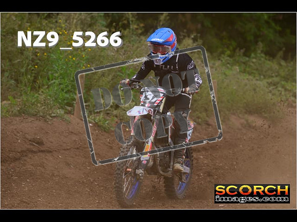 Experts-324