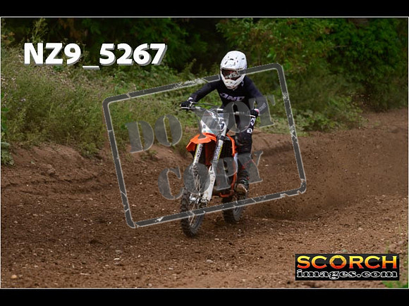 Experts-325