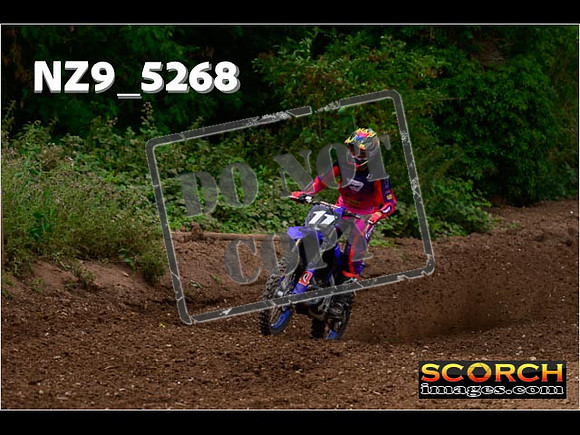 Experts-326