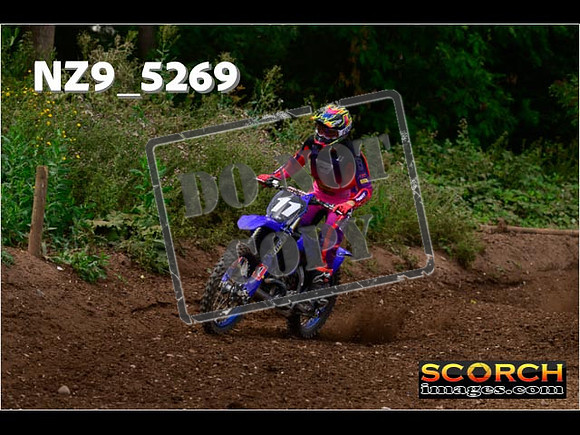 Experts-327