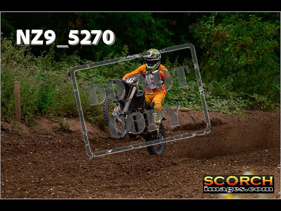 Experts-328
