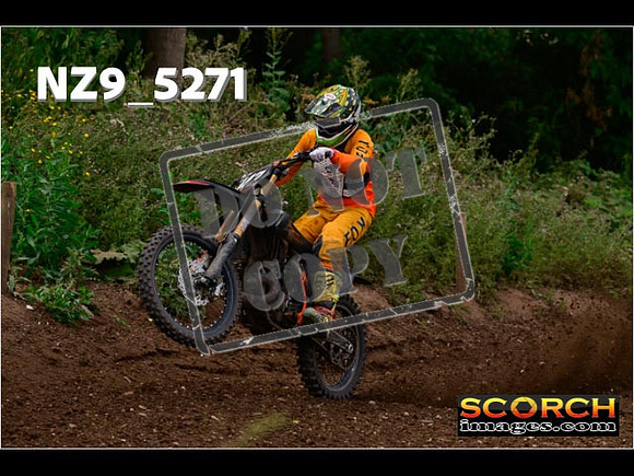 Experts-329