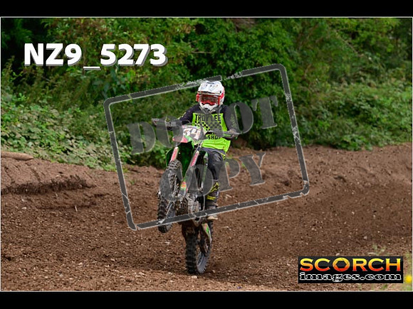 Experts-331
