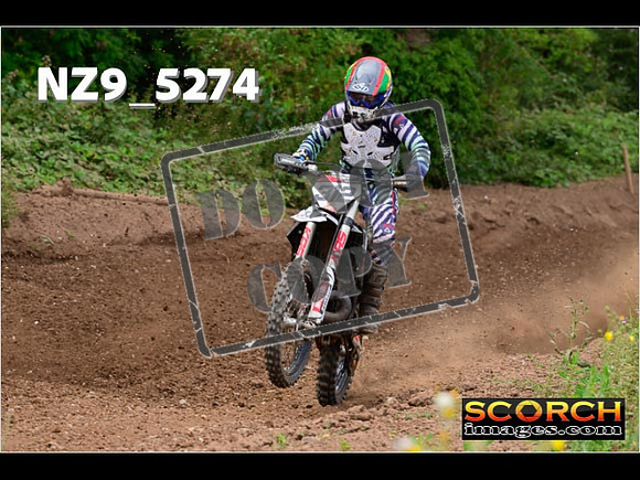 Experts-332