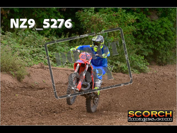 Experts-334