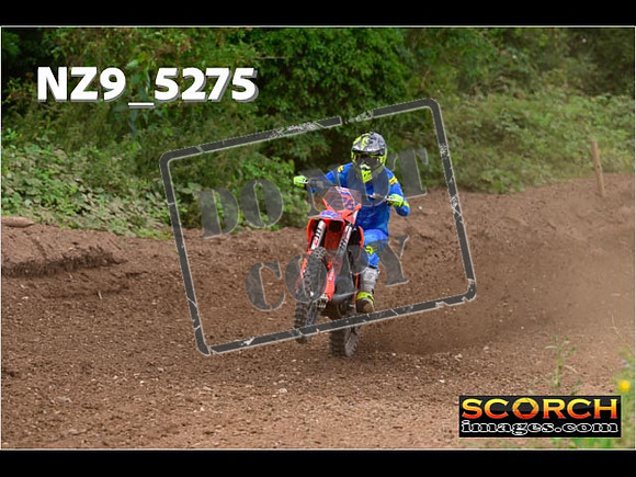 Experts-333