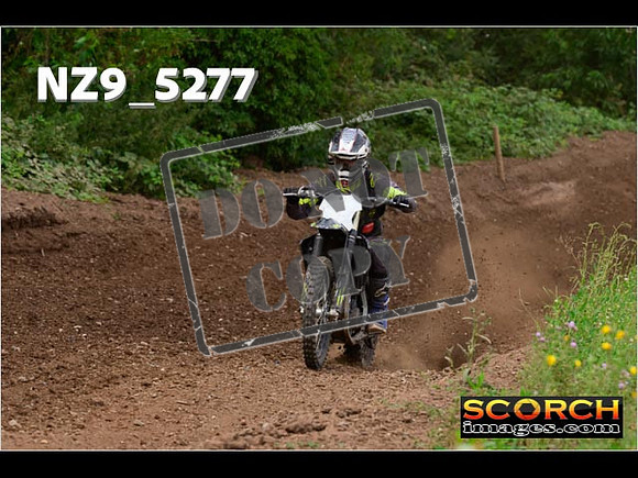 Experts-335