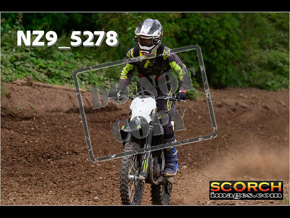 Experts-336