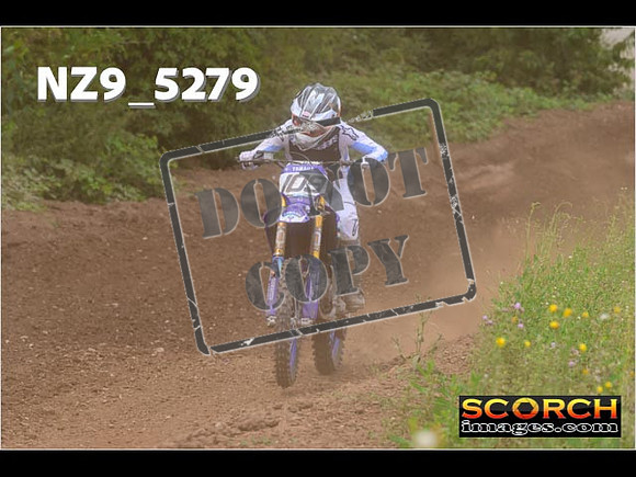 Experts-337