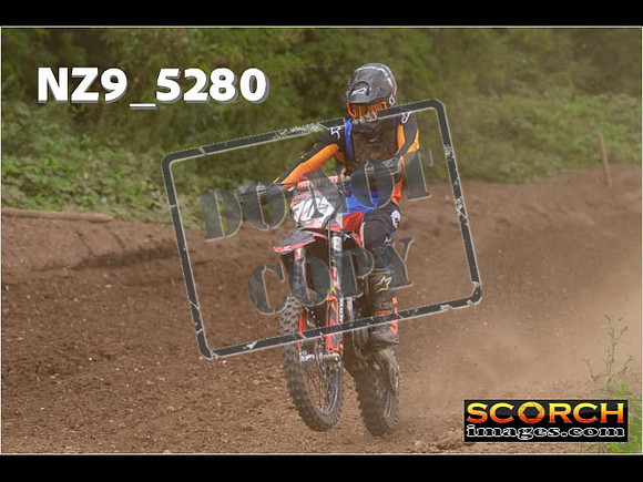Experts-338