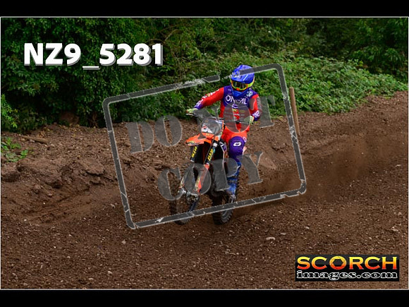 Experts-339