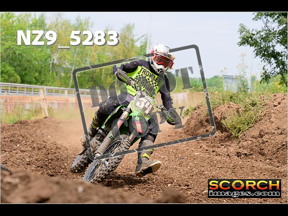 Experts-341