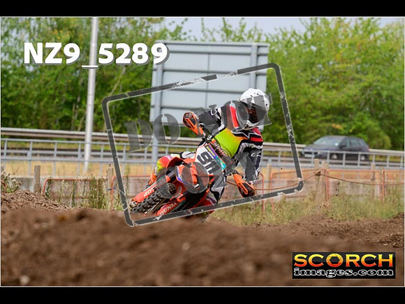 Experts-346