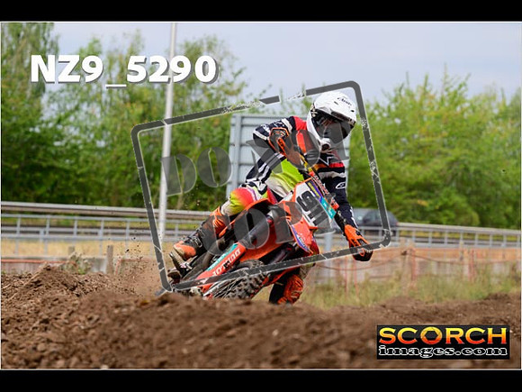Experts-347