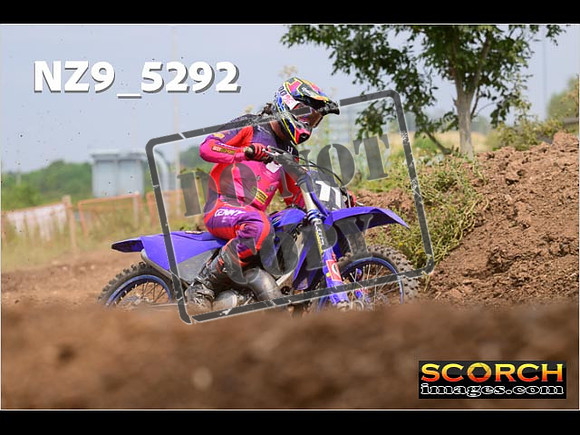 Experts-349