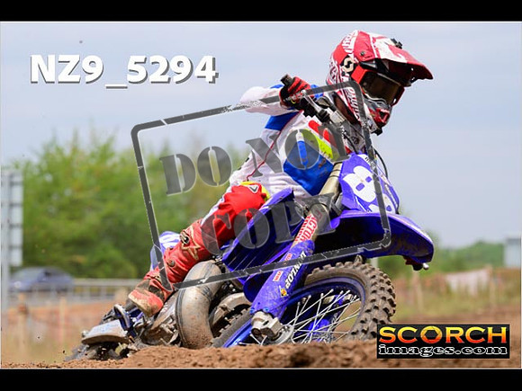 Experts-351