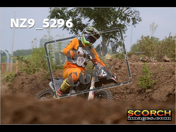 Experts-353